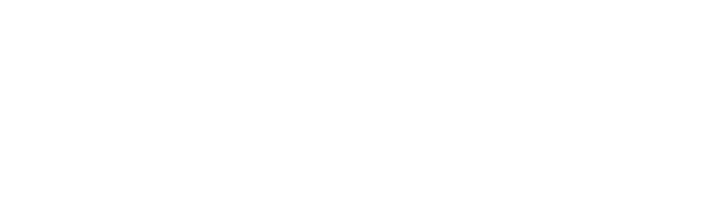 Vino Wine — Premium Quality
